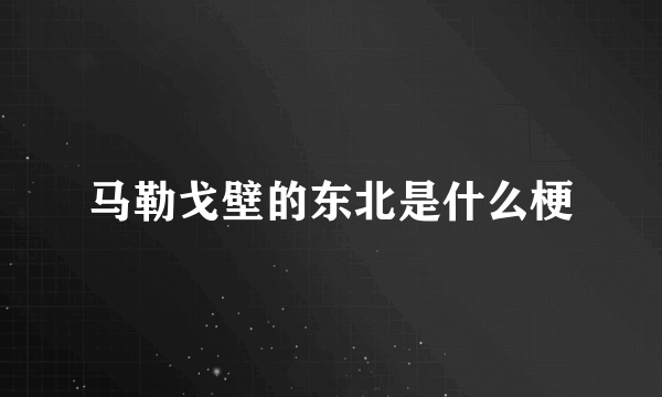 马勒戈壁的东北是什么梗