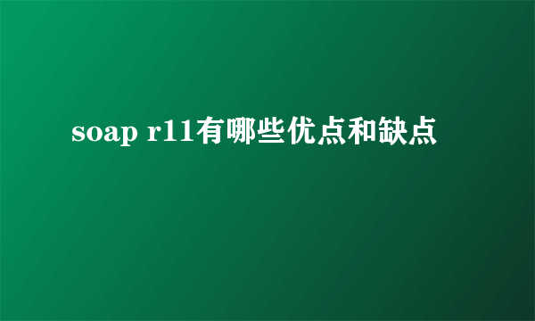 soap r11有哪些优点和缺点