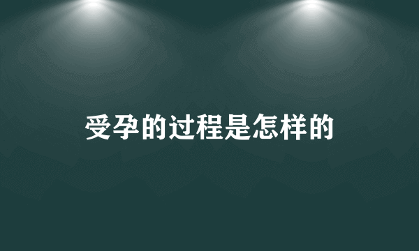 受孕的过程是怎样的