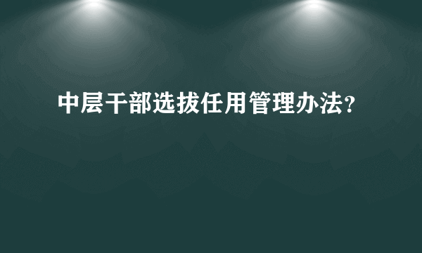 中层干部选拔任用管理办法？