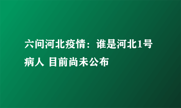 六问河北疫情：谁是河北1号病人 目前尚未公布