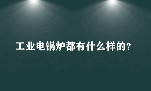 工业电锅炉都有什么样的？