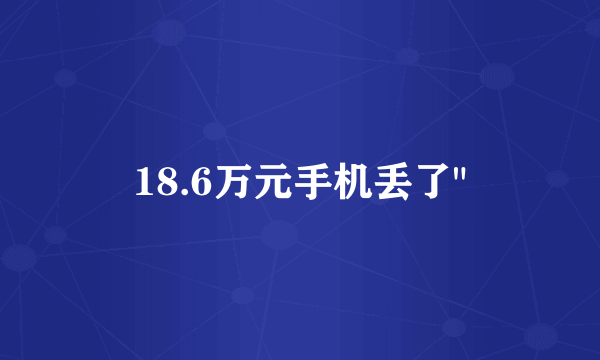 18.6万元手机丢了