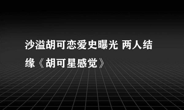 沙溢胡可恋爱史曝光 两人结缘《胡可星感觉》