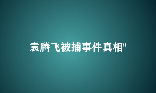 袁腾飞被捕事件真相