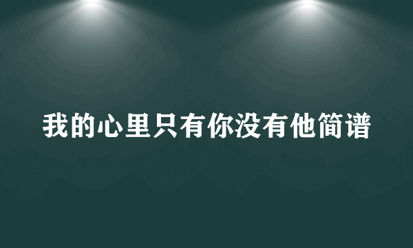 我的心里只有你没有他简谱