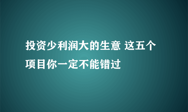 投资少利润大的生意 这五个项目你一定不能错过