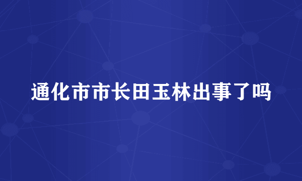 通化市市长田玉林出事了吗