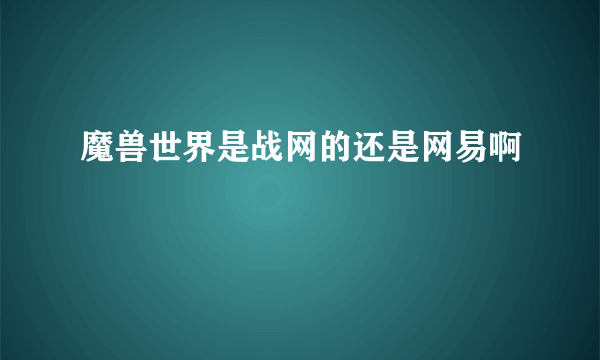 魔兽世界是战网的还是网易啊