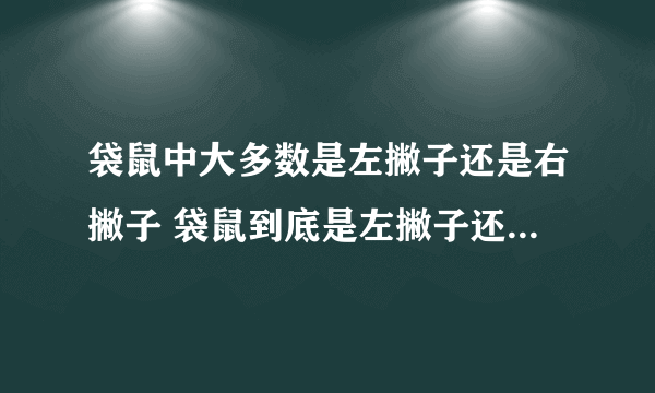 袋鼠中大多数是左撇子还是右撇子 袋鼠到底是左撇子还是右撇子