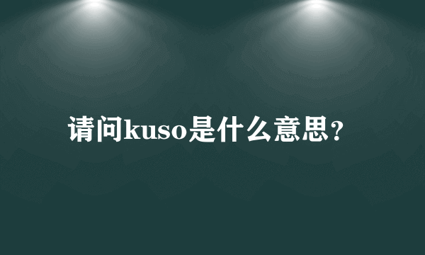 请问kuso是什么意思？