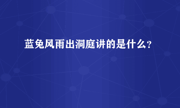 蓝兔风雨出洞庭讲的是什么？