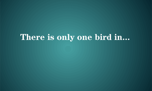 There is only one bird in the tree.中的only one部分提问