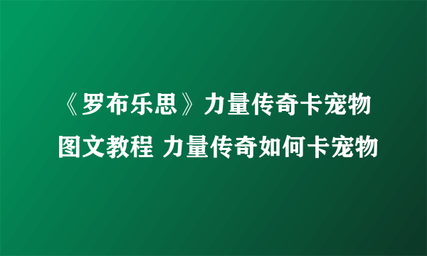 《罗布乐思》力量传奇卡宠物图文教程 力量传奇如何卡宠物