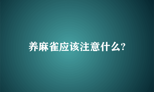 养麻雀应该注意什么?