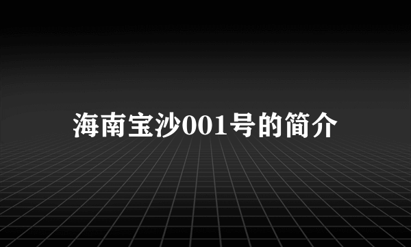 海南宝沙001号的简介