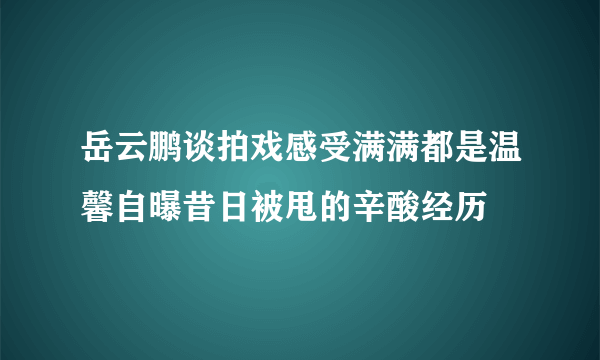 岳云鹏谈拍戏感受满满都是温馨自曝昔日被甩的辛酸经历