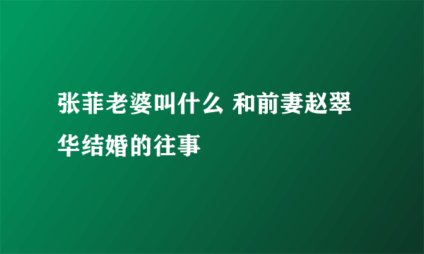 张菲老婆叫什么 和前妻赵翠华结婚的往事