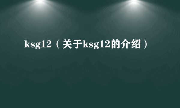 ksg12（关于ksg12的介绍）