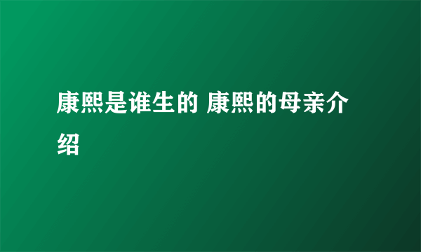 康熙是谁生的 康熙的母亲介绍