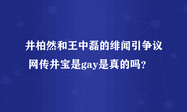 井柏然和王中磊的绯闻引争议 网传井宝是gay是真的吗？