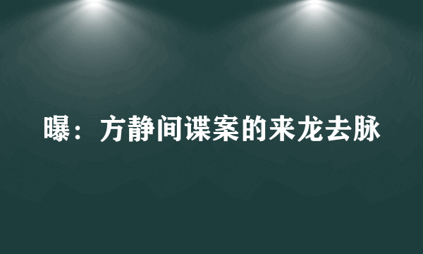 曝：方静间谍案的来龙去脉