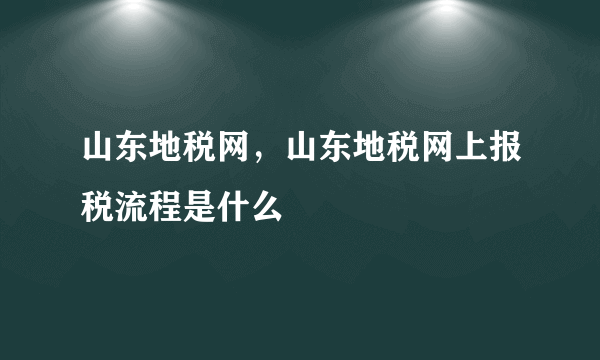 山东地税网，山东地税网上报税流程是什么