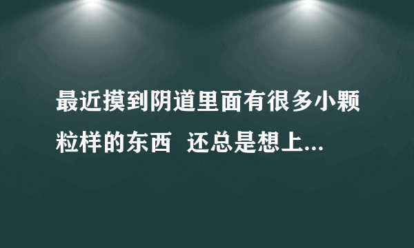 最近摸到阴道里面有很多小颗粒样的东西  还总是想上厕所是咋回