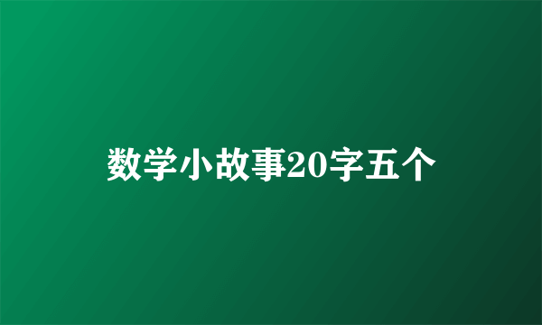 数学小故事20字五个