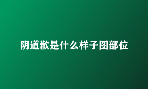 阴道歉是什么样子图部位