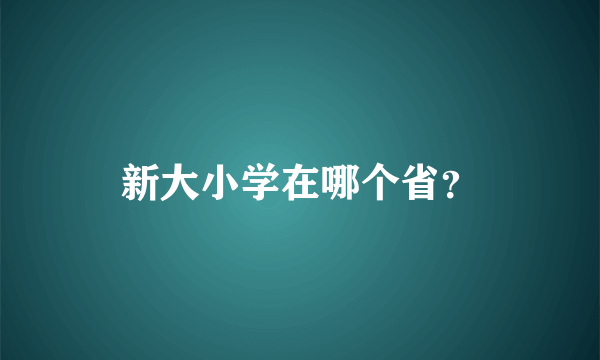 新大小学在哪个省？