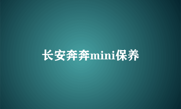 长安奔奔mini保养