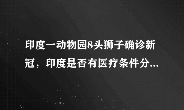 印度一动物园8头狮子确诊新冠，印度是否有医疗条件分给动物？