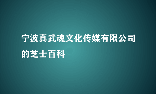 宁波真武魂文化传媒有限公司的芝士百科