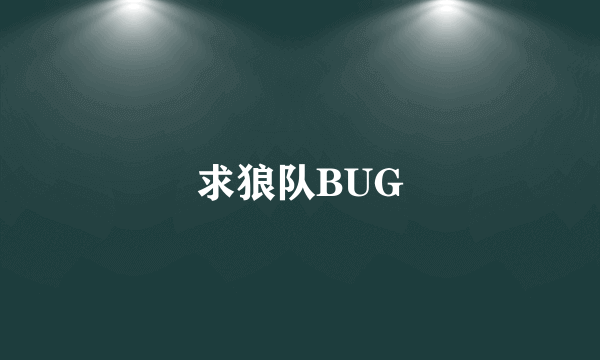 求狼队BUG