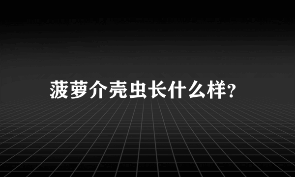 菠萝介壳虫长什么样？