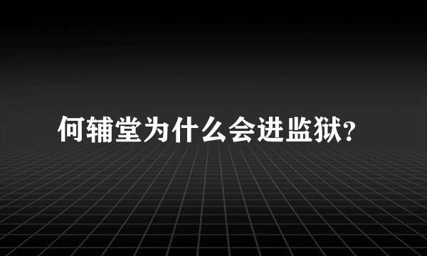 何辅堂为什么会进监狱？