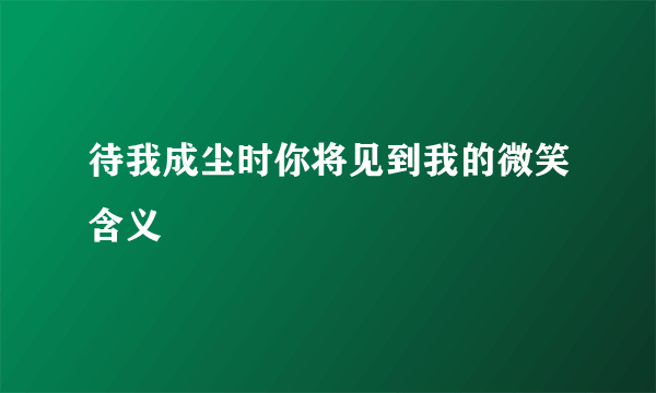 待我成尘时你将见到我的微笑含义