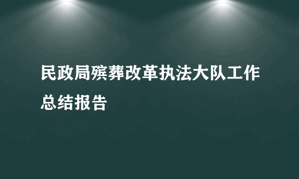 民政局殡葬改革执法大队工作总结报告