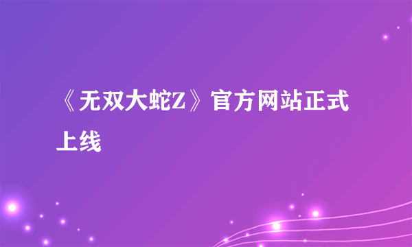 《无双大蛇Z》官方网站正式上线