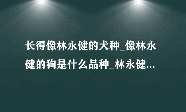 长得像林永健的犬种_像林永健的狗是什么品种_林永健-飞外网