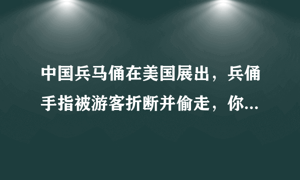 中国兵马俑在美国展出，兵俑手指被游客折断并偷走，你怎么看？