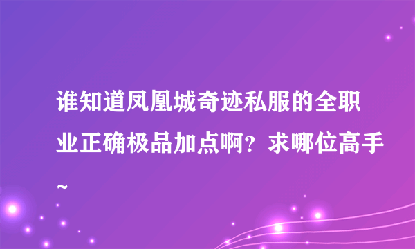 谁知道凤凰城奇迹私服的全职业正确极品加点啊？求哪位高手~