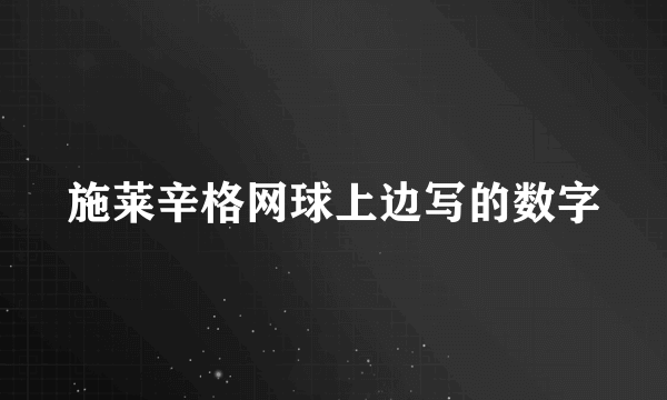 施莱辛格网球上边写的数字