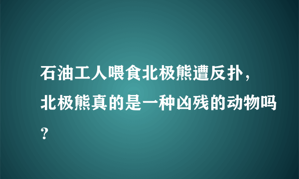 石油工人喂食北极熊遭反扑，北极熊真的是一种凶残的动物吗？