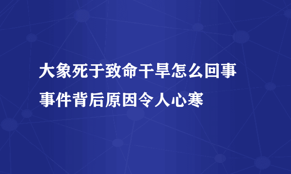 大象死于致命干旱怎么回事  事件背后原因令人心寒