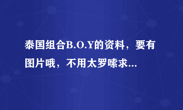 泰国组合B.O.Y的资料，要有图片哦，不用太罗嗦求大神帮助