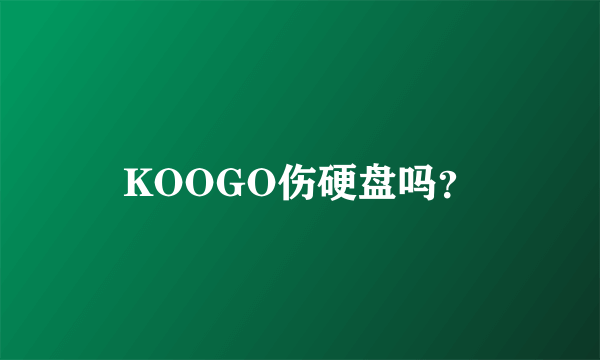 KOOGO伤硬盘吗？