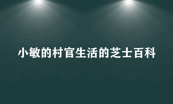 小敏的村官生活的芝士百科