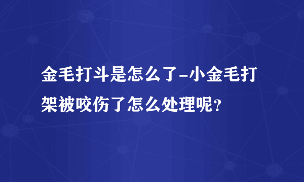 金毛打斗是怎么了-小金毛打架被咬伤了怎么处理呢？